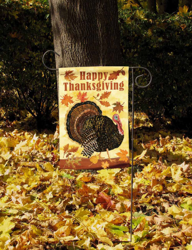 Toland Turkey Day Happy Thanksgiving Fall Autumn Leaves Garden Flag